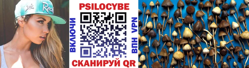 Псилоцибиновые грибы Magic Shrooms продажа наркотиков Малмыж